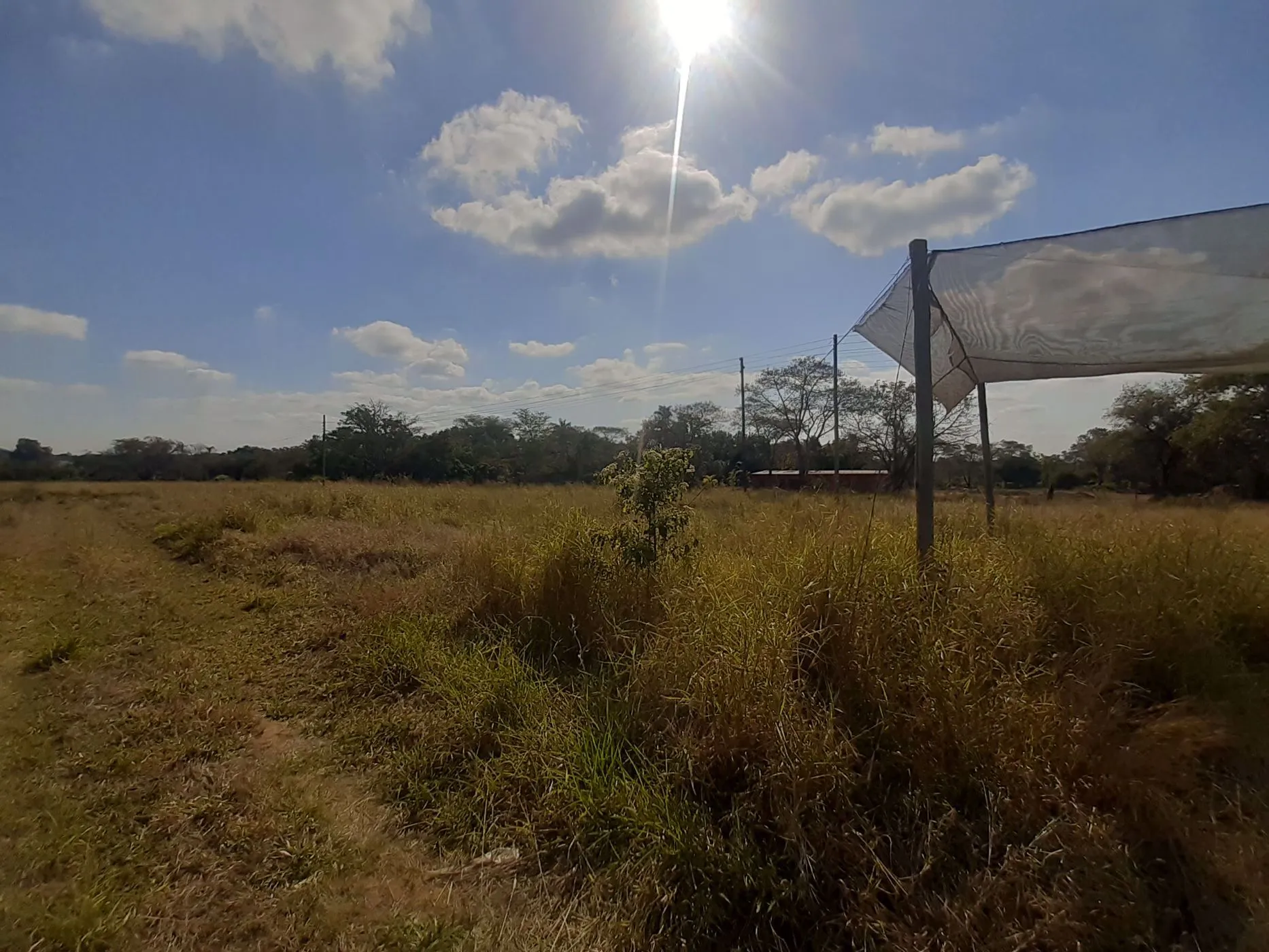 Farm vacant land for sale in Tzaneen Rural photo 3