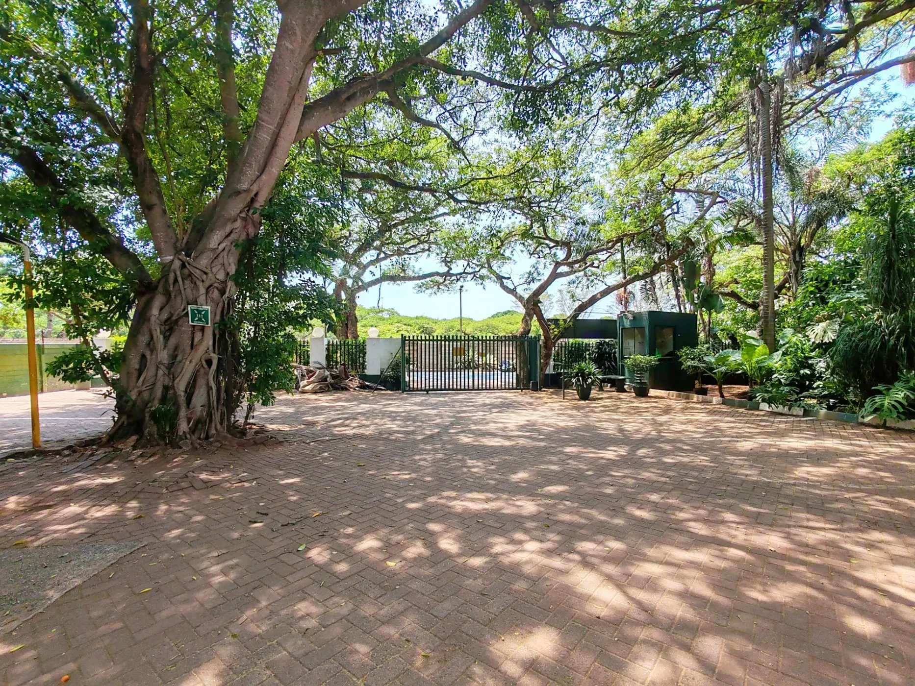 Property image 29