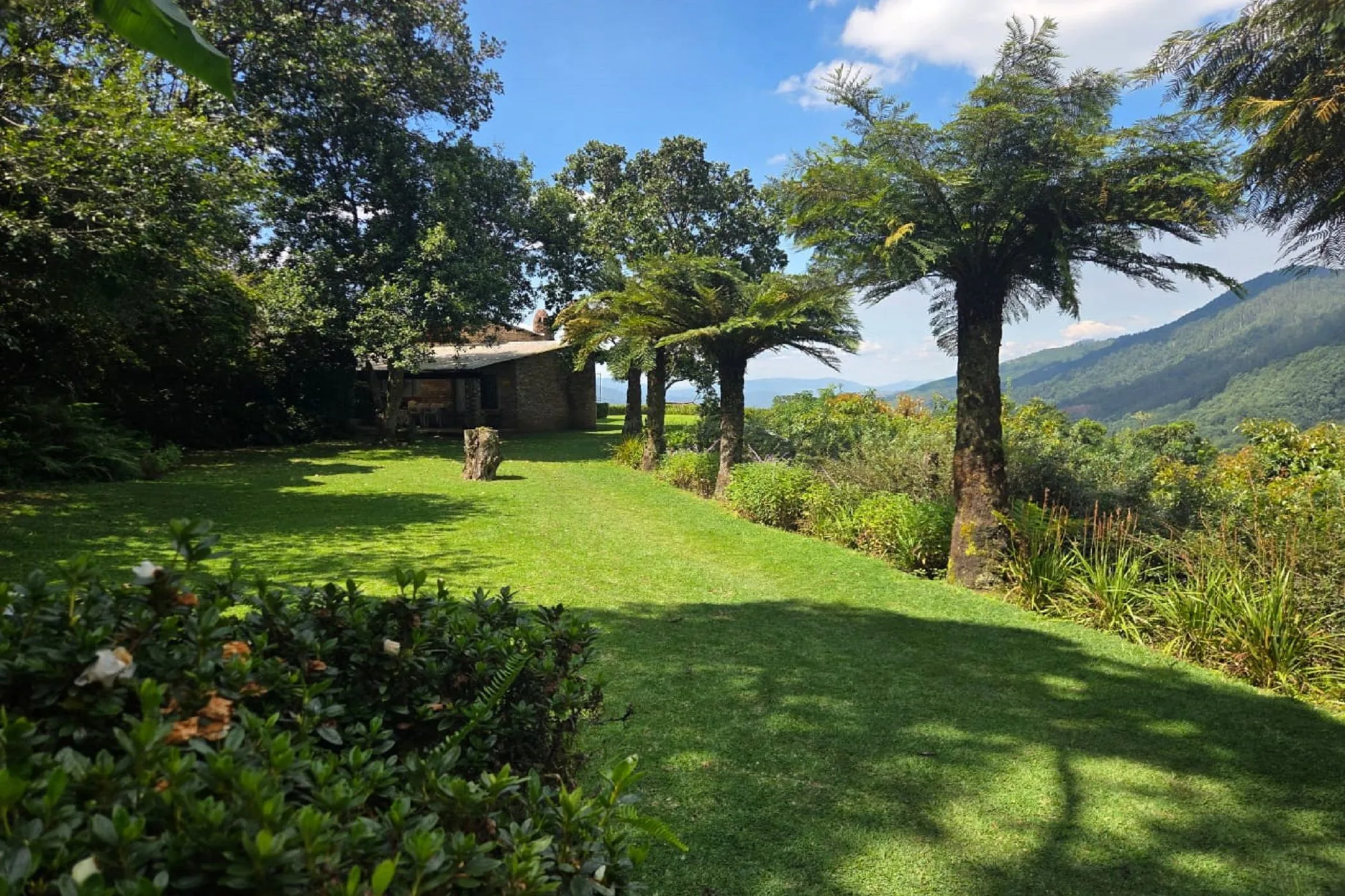 Property image 41