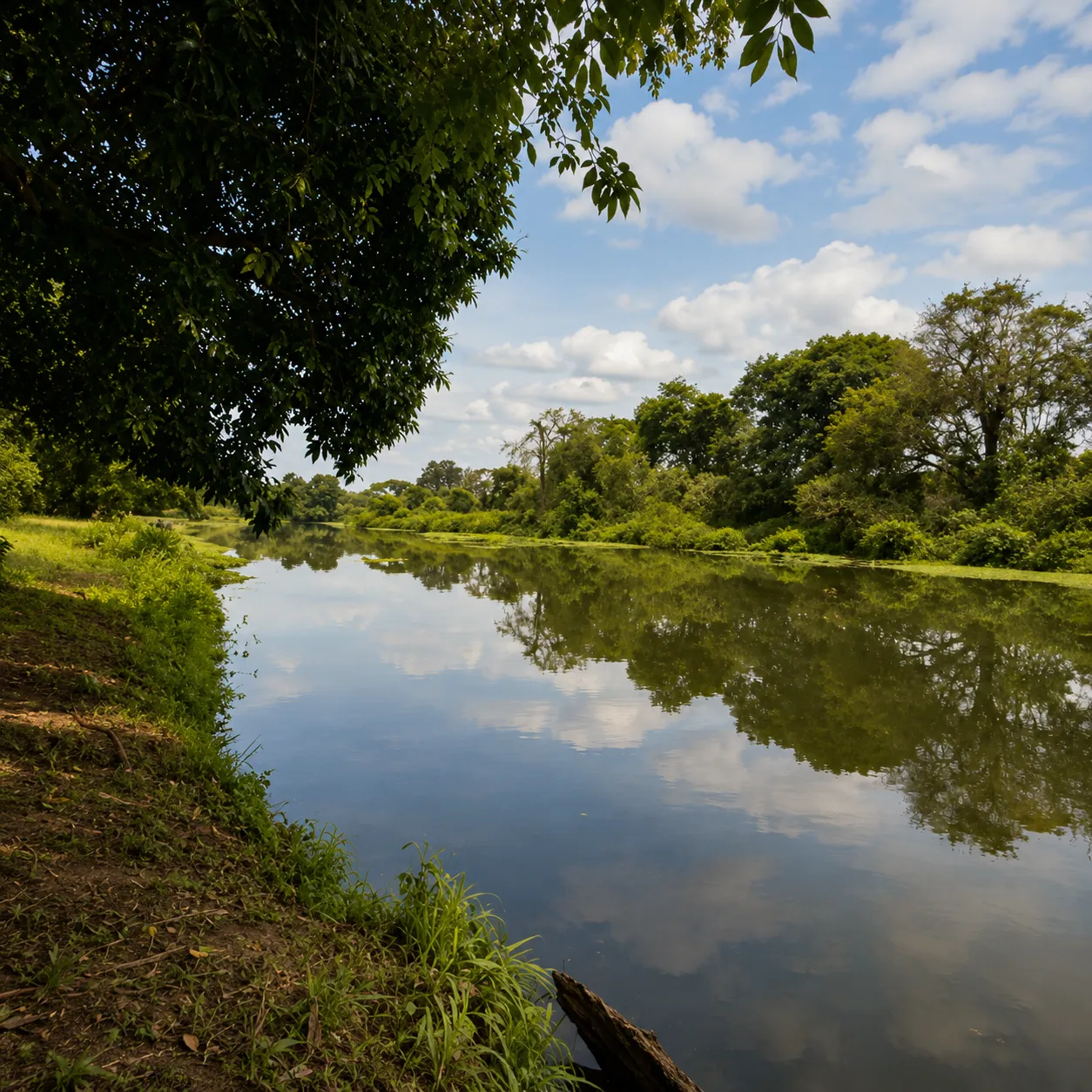 2 Bedroom Farm for Sale in Limpopo for R9,000,000 photo 2
