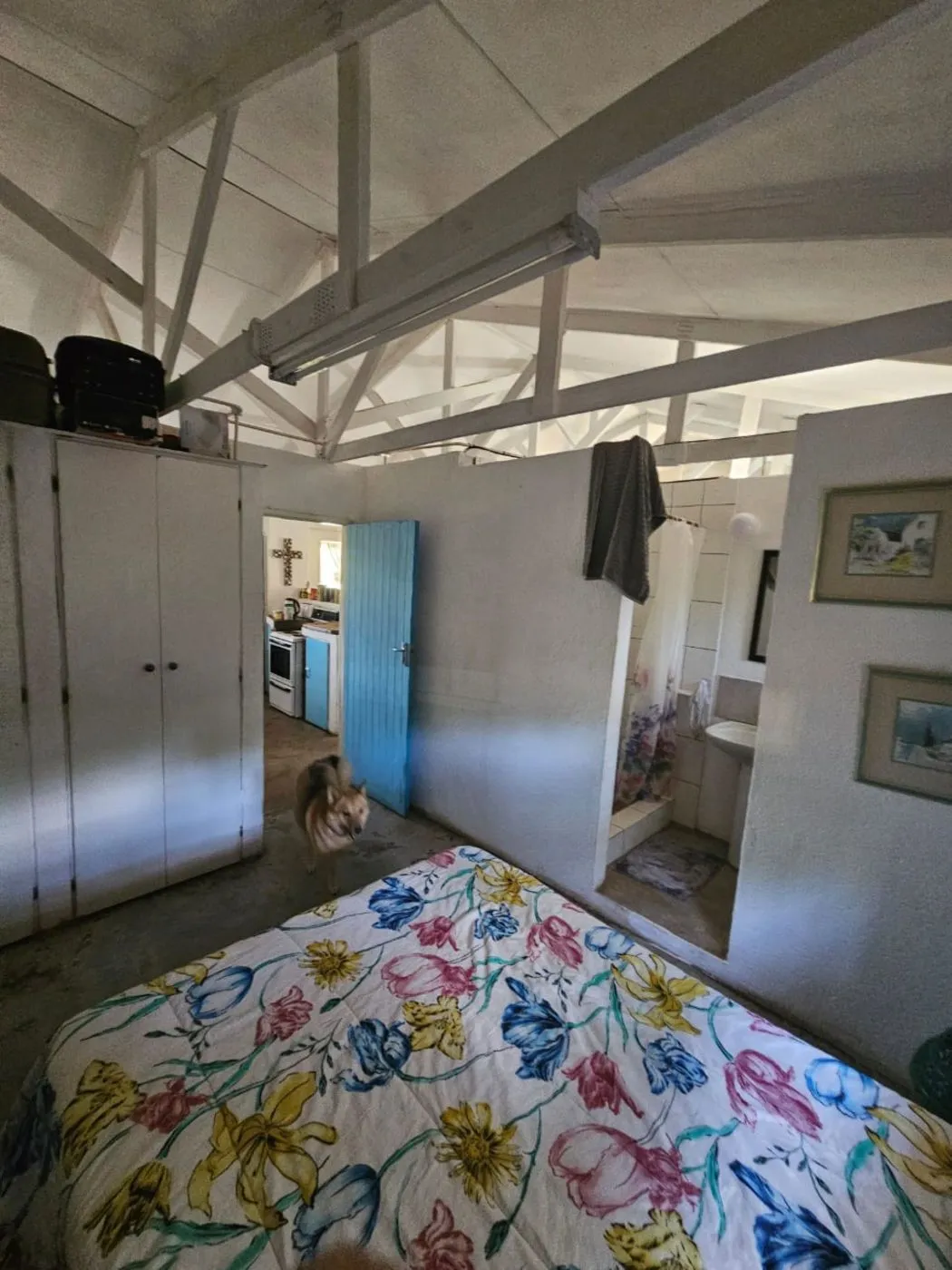 Property image 38