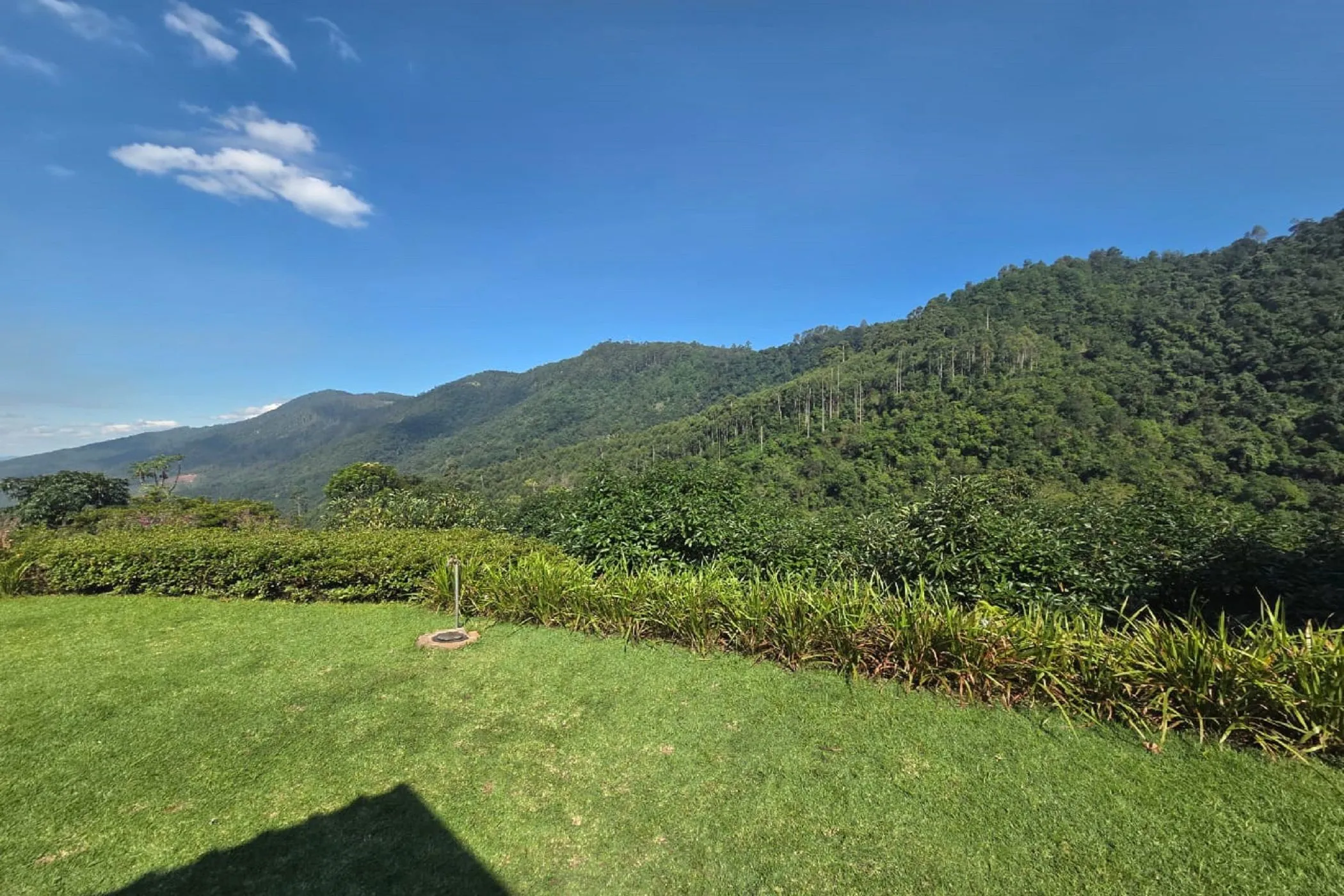 Property image 43