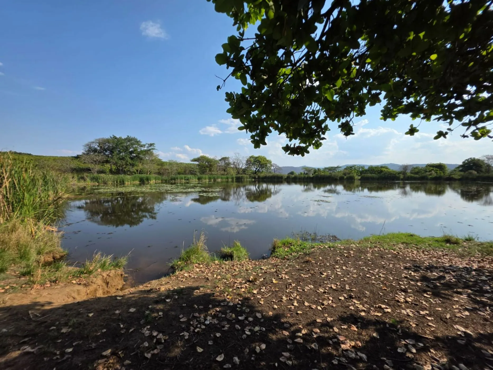 Property image 21