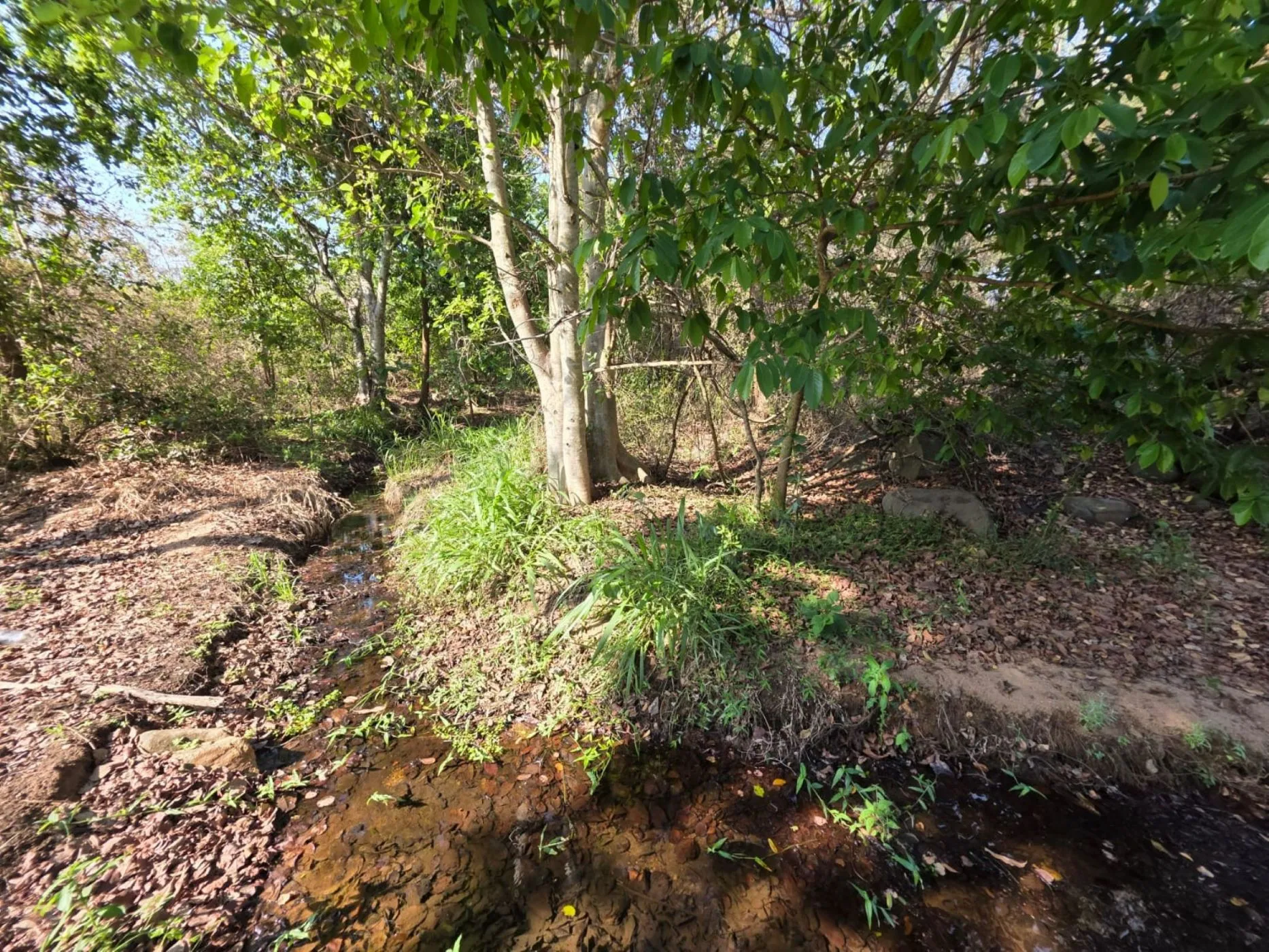 Property image 41