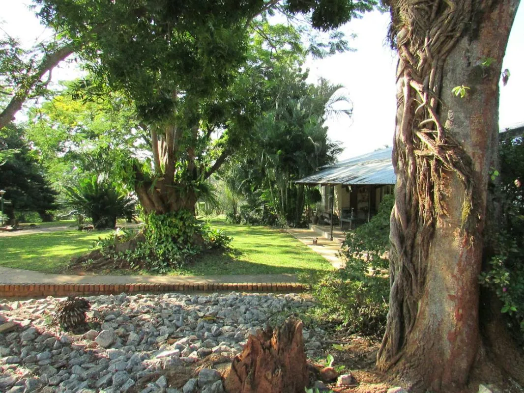 Property image 25