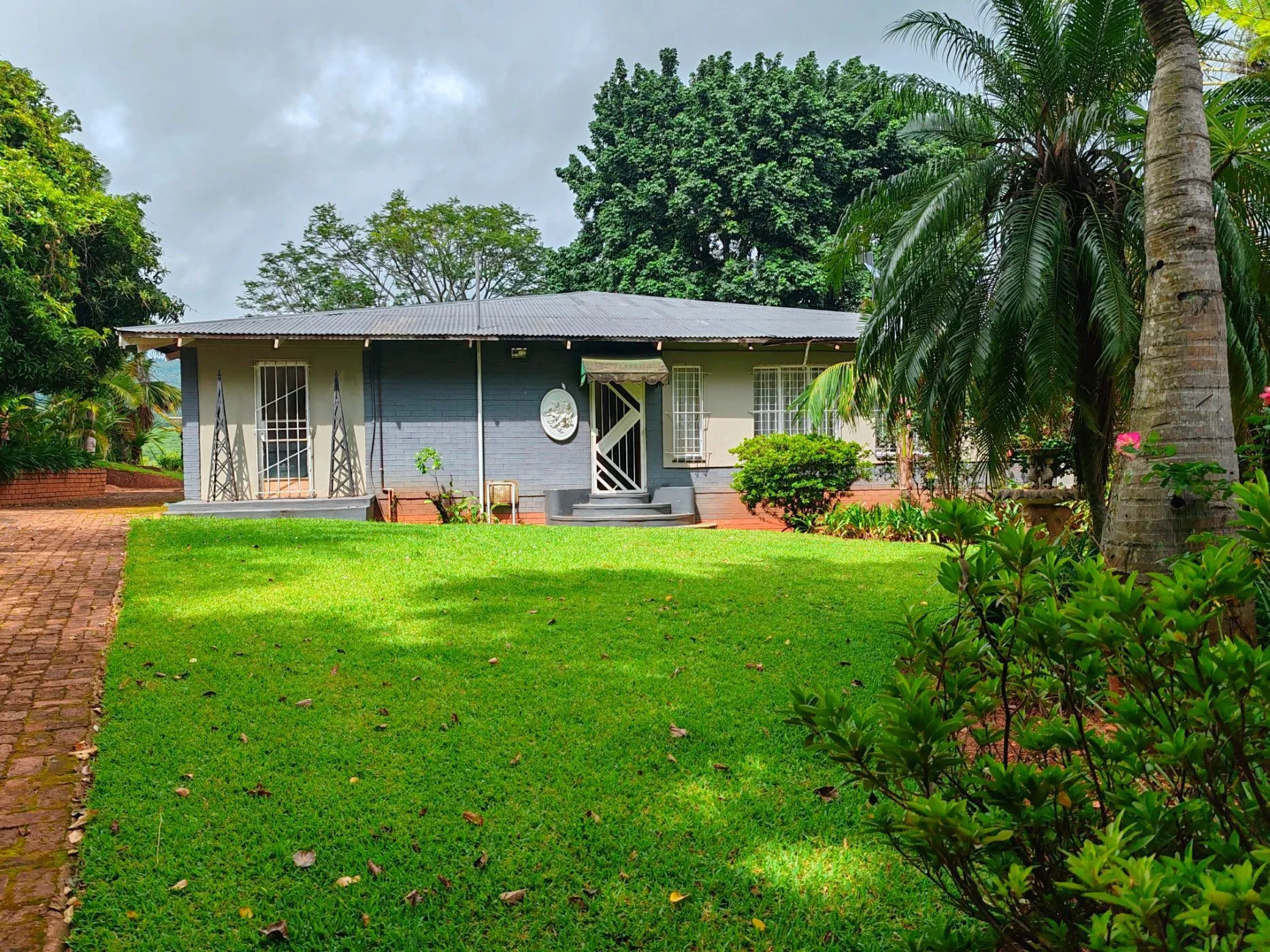 Fruit farm for sale in Tzaneen Rural