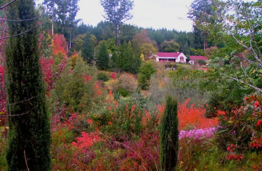 Property image 18