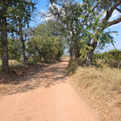 Property image 17