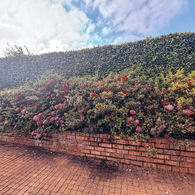 Property image 32