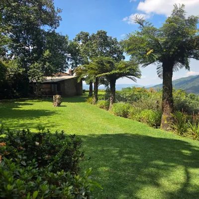 Property image 41