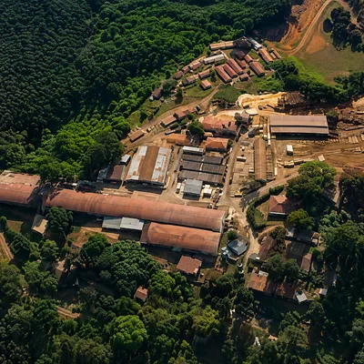 Established Sawmill & Property For Sale,Tzaneen and Limpopo