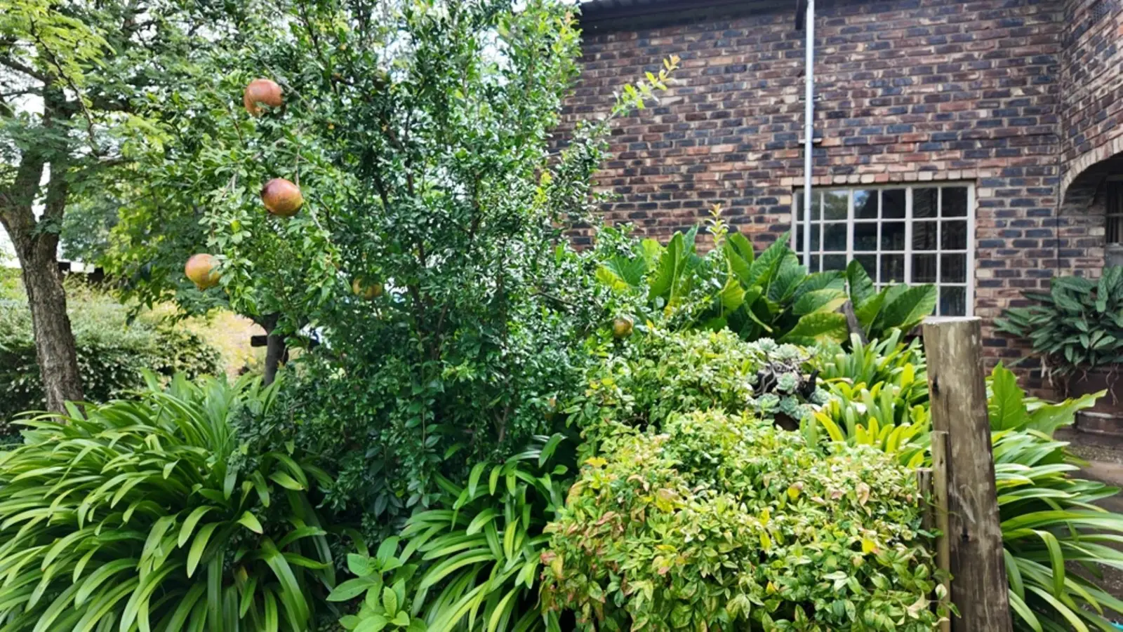 Property image 32