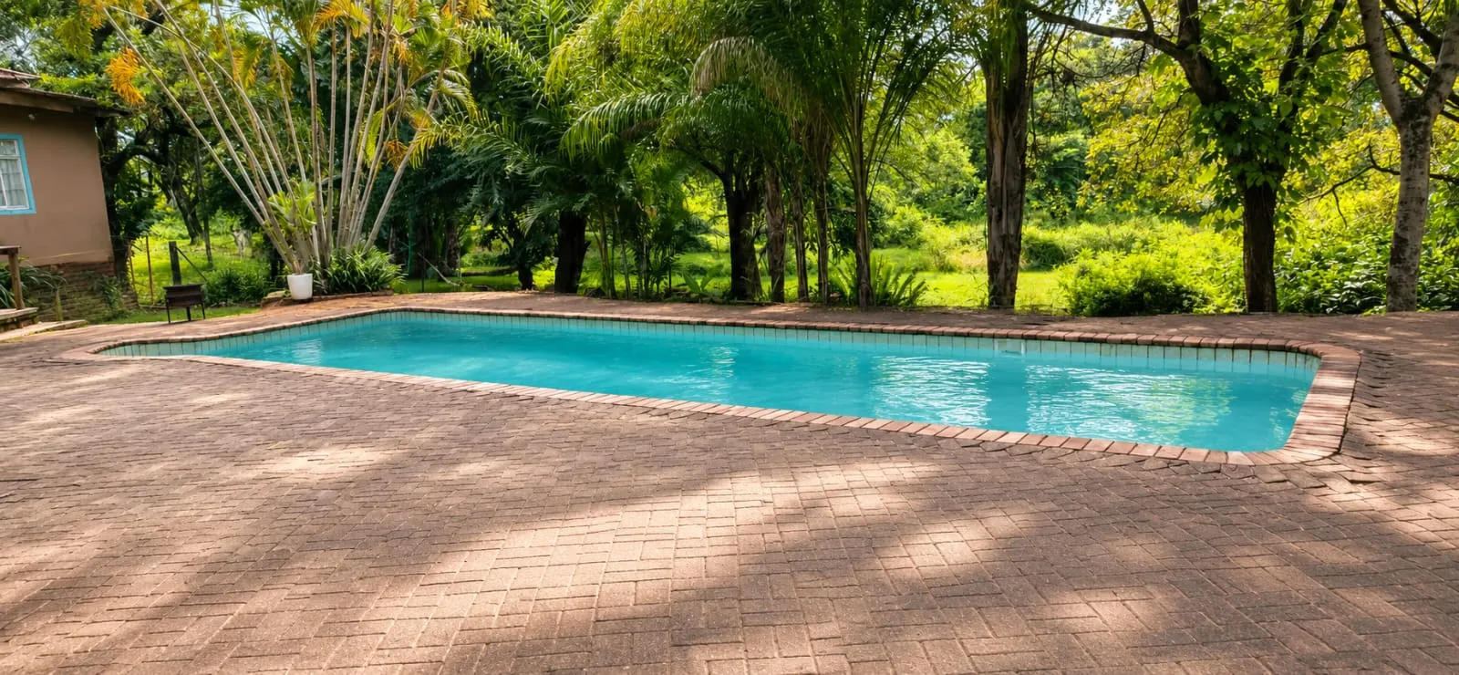 3 Bedroom House for Rent in Tzaneen, Limpopo on a farm photo 2