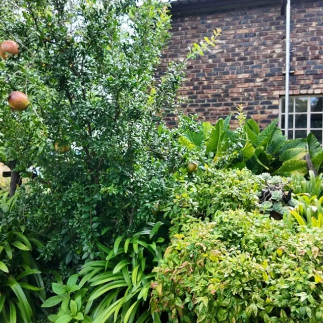 Property image 32