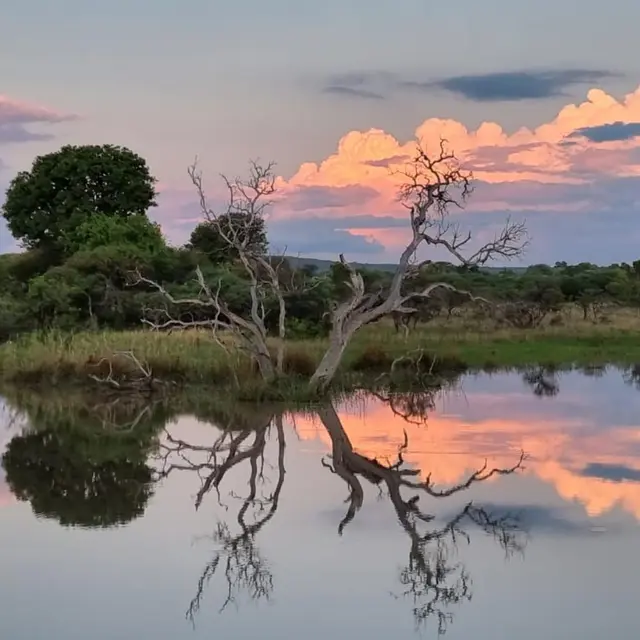 Property image 46