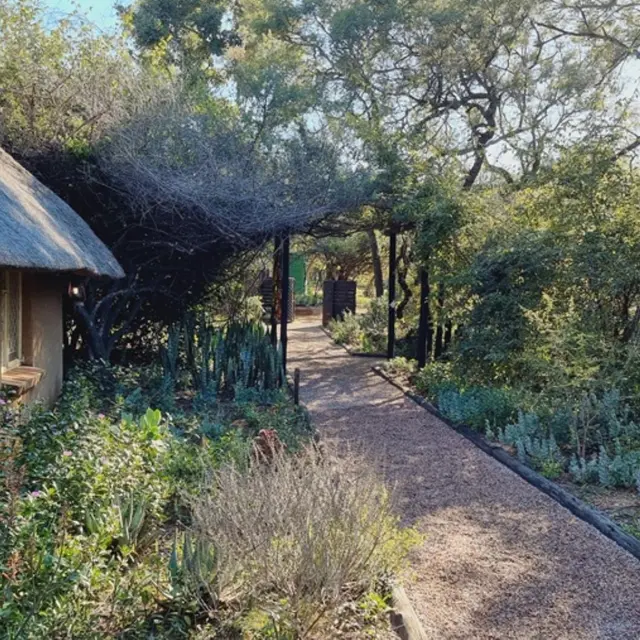 8 Bedroom Game Farm or Lodge for Sale in Akasia photo 2