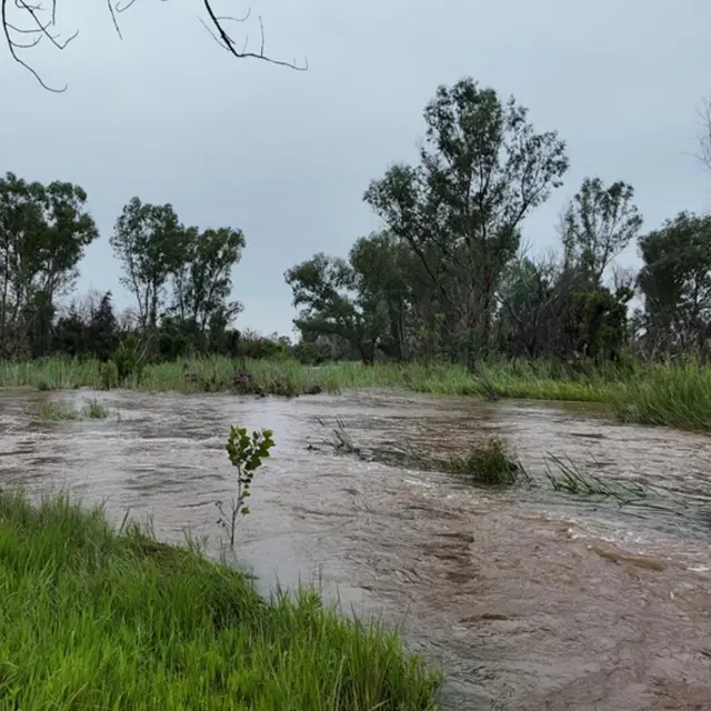 1 Bedroom Farm for Sale in Vaalwater photo 3