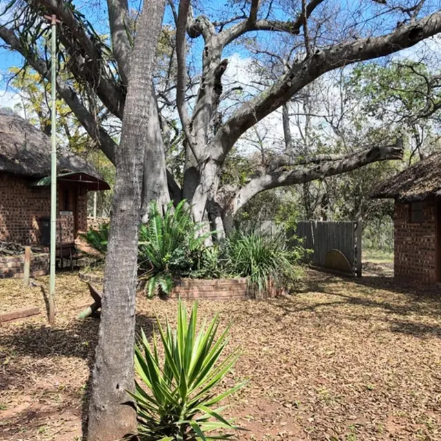 Property image 40