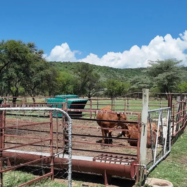 10 Bedroom Farm for Sale in Mokopane Rural photo 2